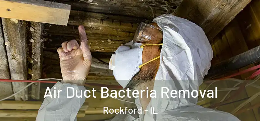  Air Duct Bacteria Removal Rockford - IL