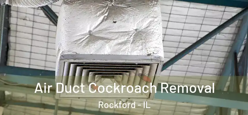 Air Duct Cockroach Removal Rockford - IL