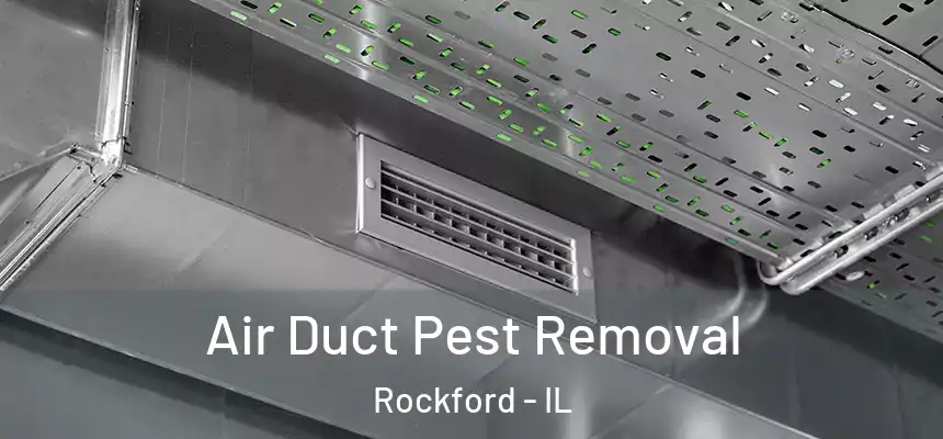  Air Duct Pest Removal Rockford - IL