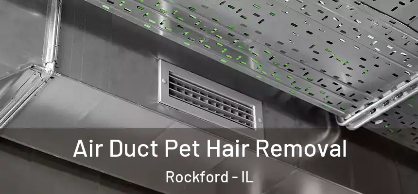  Air Duct Pet Hair Removal Rockford - IL