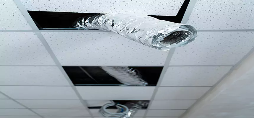 Our Air Duct Pet Hair Removal Services in Rockford, IL