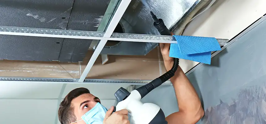 Our Air Duct Rodent Removal Services in Rockford, IL