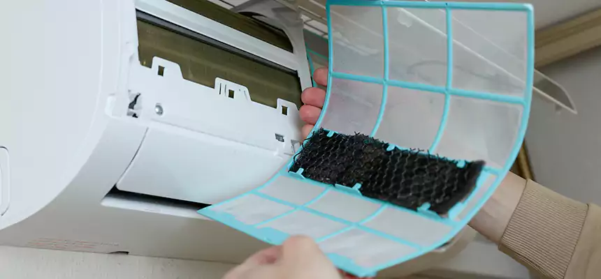 Gentle Ductwork Odor-Control Pet Dander Duct Cleaning in Rockford, IL