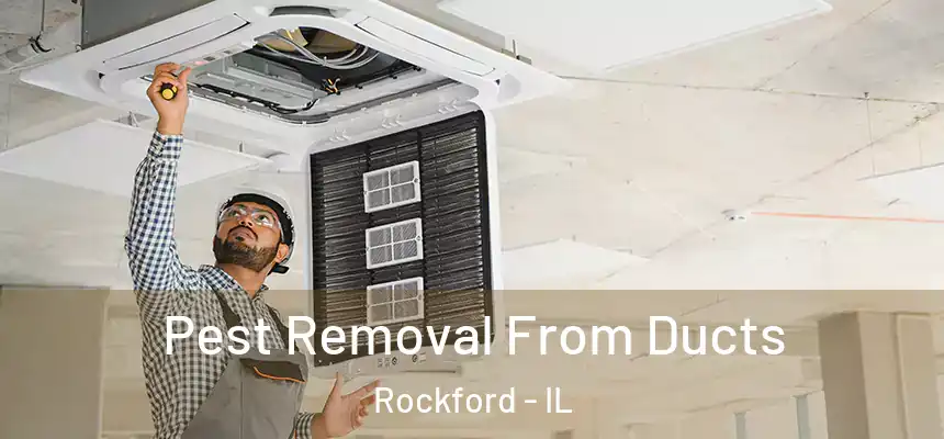  Pest Removal From Ducts Rockford - IL
