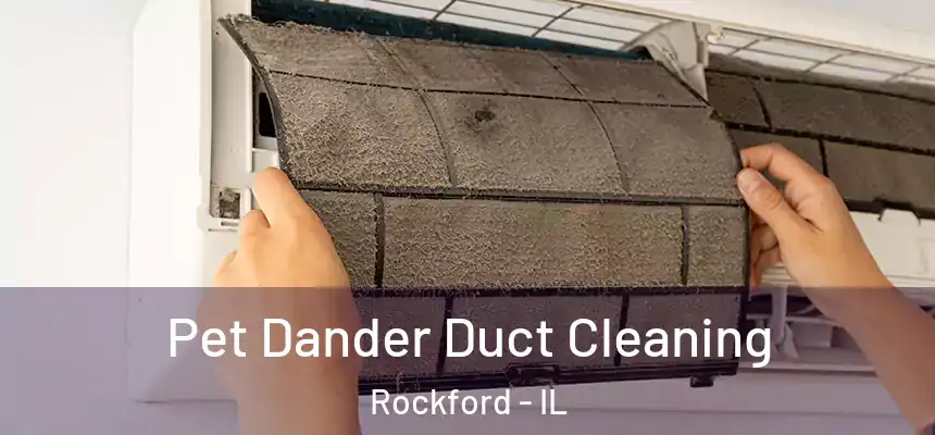 Pet Dander Duct Cleaning Rockford - IL