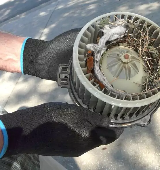 About Air Duct Mice Removal in Rockford, IL