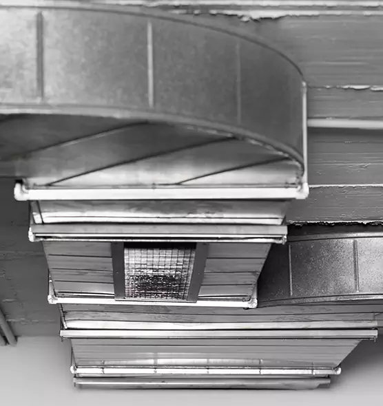 Professional Air Duct Pest Removal in Rockford, IL