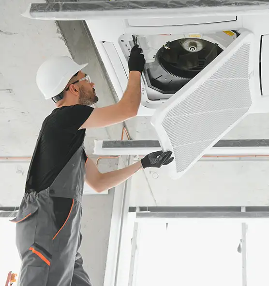 About Air Duct Rodent Removal in Rockford, IL