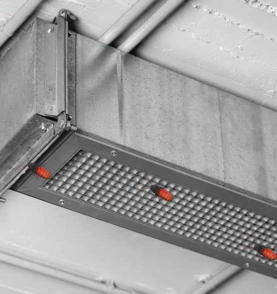 Affordable Insect Removal from Air Ducts in Rockford, IL