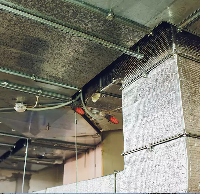 Why Homeowners & Businesses Trust Us in Rockford, IL?