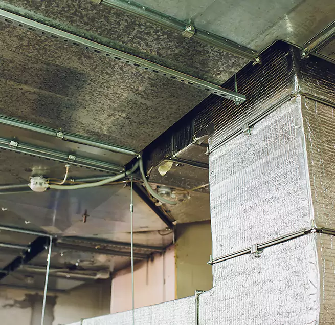 Why Homeowners & Businesses Trust Us in Rockford, IL?